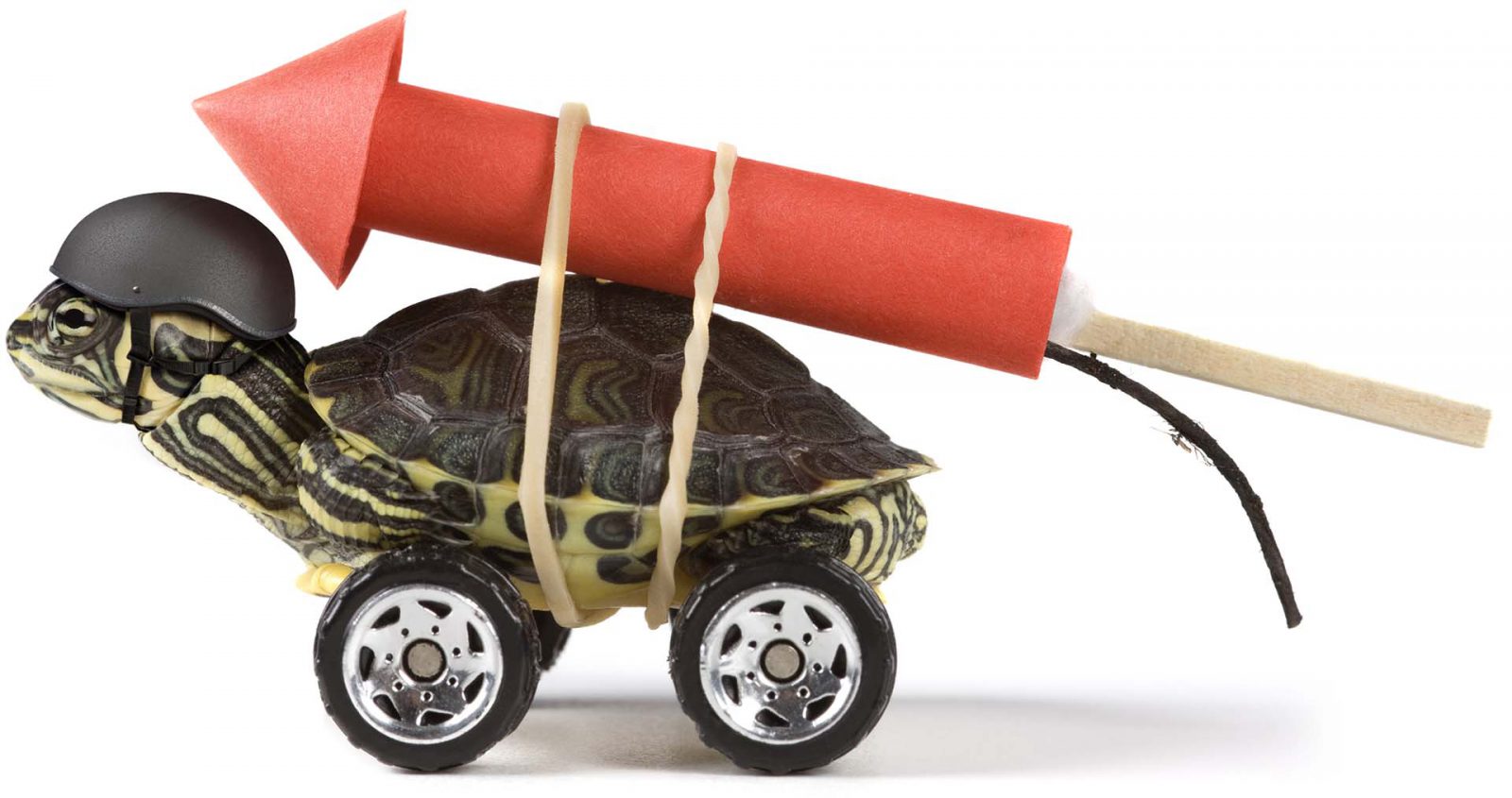 stunt XXL (clipping path)