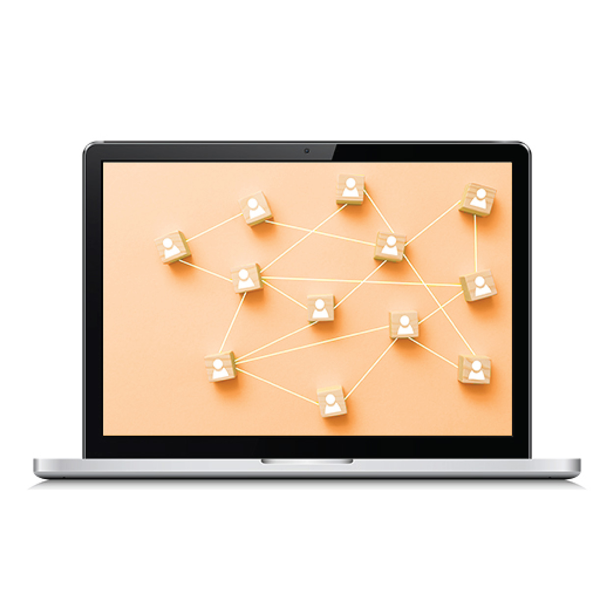 Digital Services laptop